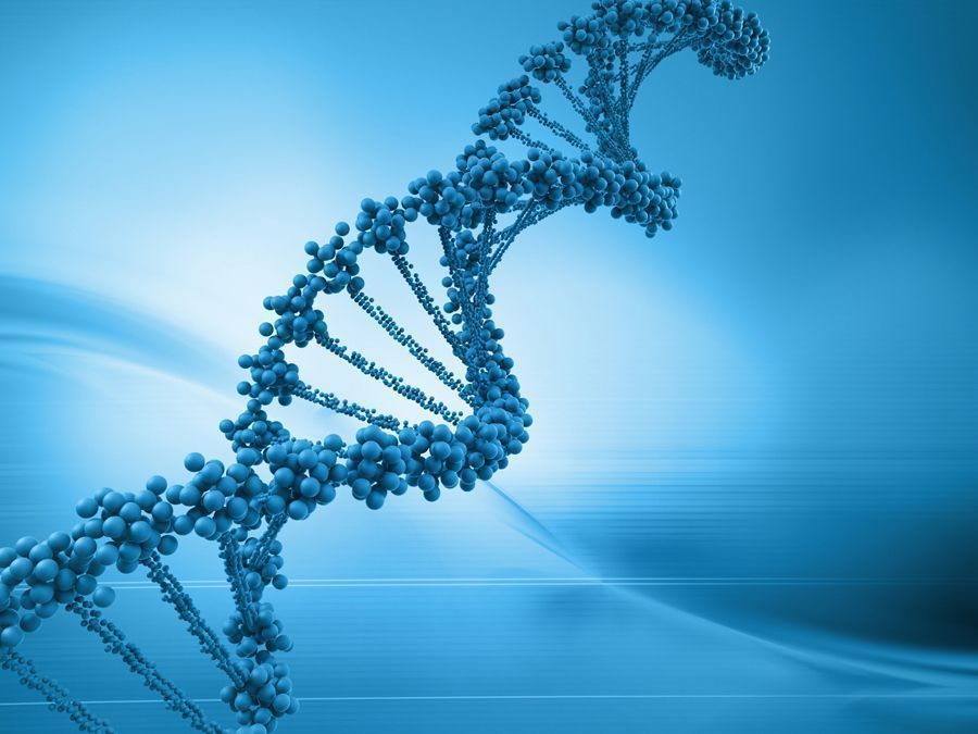 Ilustración digital del ADN
