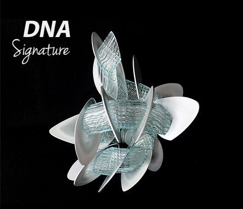 DNA Signature Mava
