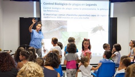 'Noche de los murciélagos'