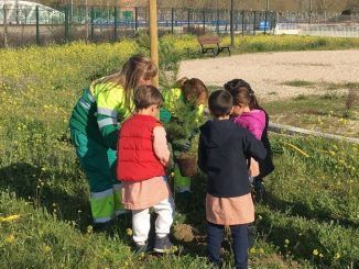 Colegios Getafe Norte - Plantación Árboles