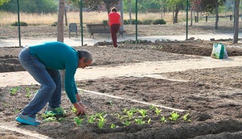Los mayores de Leganés podrán solicitar uno de los 65 huertos urbanos a partir del día 15 de diciembre