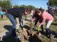 Un centenar de escolares han reforestado hoy una parcela en Fuenlabrada