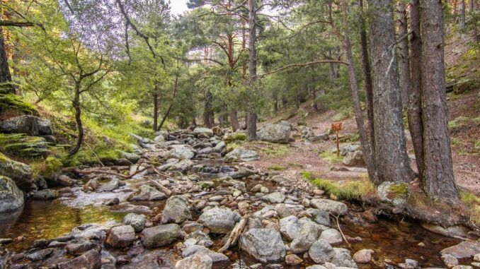 Izquierdo: "La sociedad civil pide equilibrio entre la protección del medio ambiente y el desarrollo de las zonas rurales"