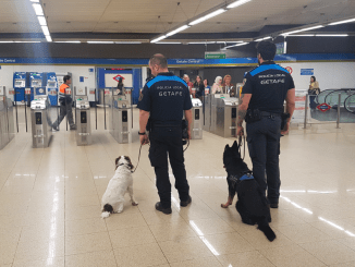 La Unidad Canina de la Policía Local de Getafe crece hasta contar con 4 perros