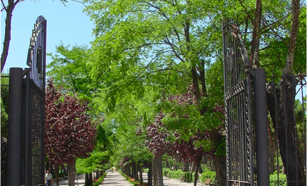 parque liana Mostoles