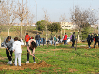 plantaciones colectivas getafe (og. fuenlabrada)