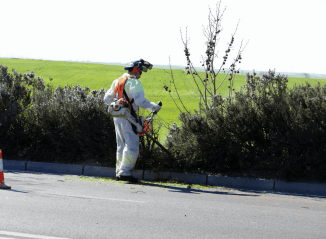 revisión y mejora de los parques y jardines públicos de Móstoles