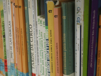 Libros de una biblioteca dispuestos en una balda