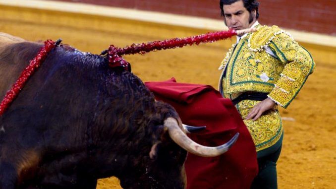 Aumentan los festejos taurinos en torno al Día de la Hispanidad
