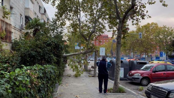 Más de 400 intervenciones de los bomberos por el temporal de viento en Madrid