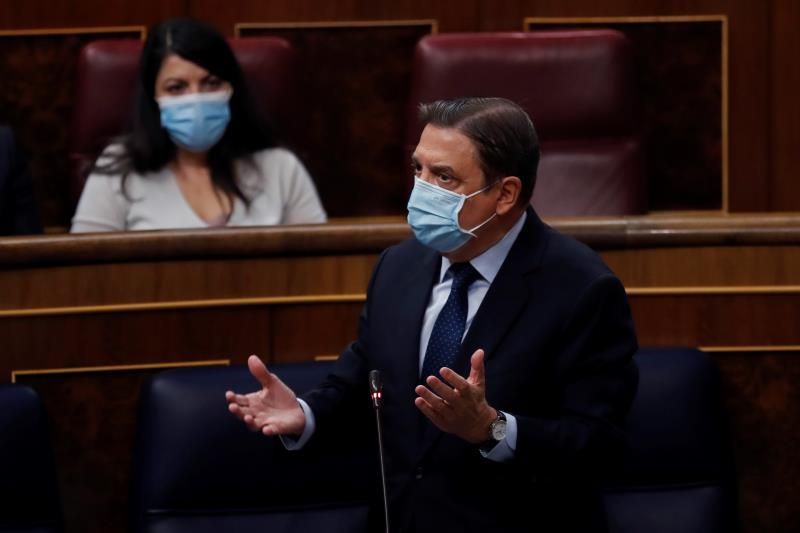 El Gobierno aprueba hoy el nuevo proyecto de ley de la cadena alimentaria