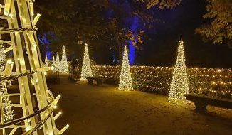 Real Jardín Botánico de Madrid