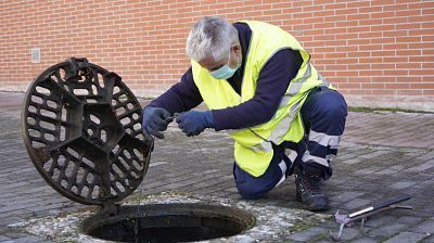 Limpieza de plagas en Móstoles