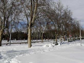 Vista de una de las avenidas de la Universidad Complutense totalmente cubierta de nieve este lunes.