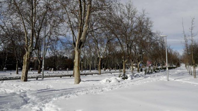 Vista de una de las avenidas de la Universidad Complutense totalmente cubierta de nieve este lunes.