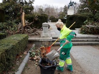 Una operaria recoge hojas secas este martes en la plaza de Oriente, en Madrid