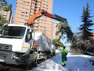 Limpieza de zonas verdes del Ayuntamiento de Madrid