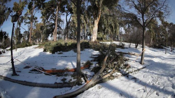 Zonas nevadas en el madrileño parque de El Retiro tras el paso de la tormenta Filomena.