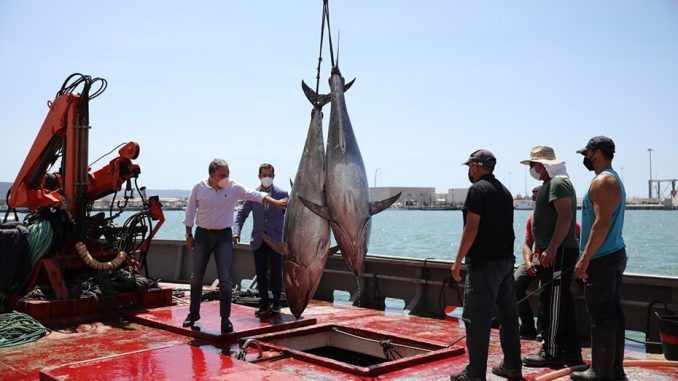 El consejero de la Presidencia, Administración Pública e Interior de la Junta de Andalucía, Elías Bendodo, ha viajado hasta la localidad de Barbate para destacar la importancia de la pesca del atún en las costas gaditanas para la economía andaluza.