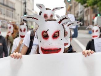 Manifestantes en favor de los derechos de los animales con caretas de conejo