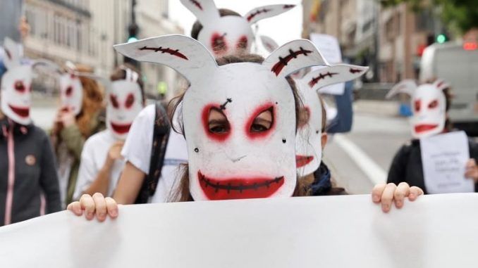 Manifestantes en favor de los derechos de los animales con caretas de conejo