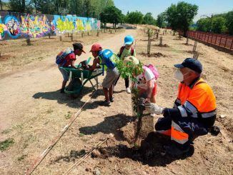 200 escolares participan en la creación de una gran zona verde junto a La Cantera donde se plantarán 700 árboles y plantas