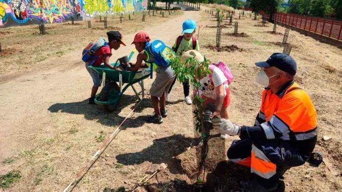 200 escolares participan en la creación de una gran zona verde junto a La Cantera donde se plantarán 700 árboles y plantas