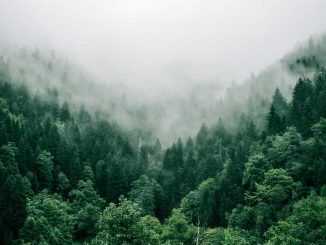 Móstoles abre el plazo de inscripciones para participar en los talleres de educación ambiental para toda la familia