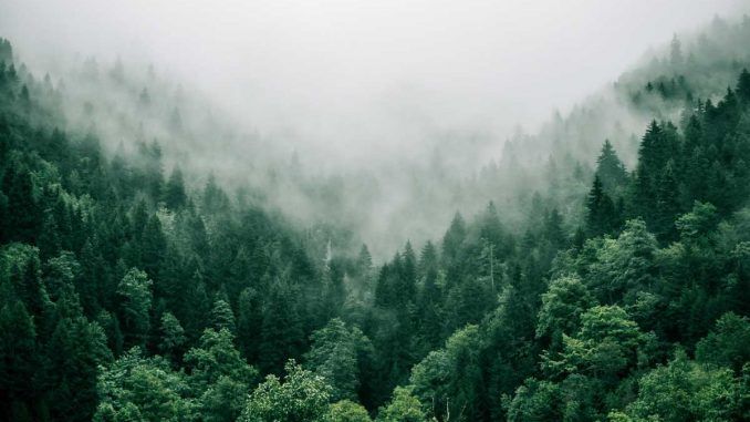 Móstoles abre el plazo de inscripciones para participar en los talleres de educación ambiental para toda la familia