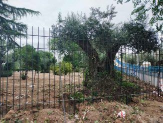 Fuenlabrada sustituye el cerramiento perimetral del Parque del Olivar