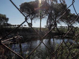 Imagen de archivo de una balsa de riego ilegal en el entorno de Doñana. EFE/Archivo