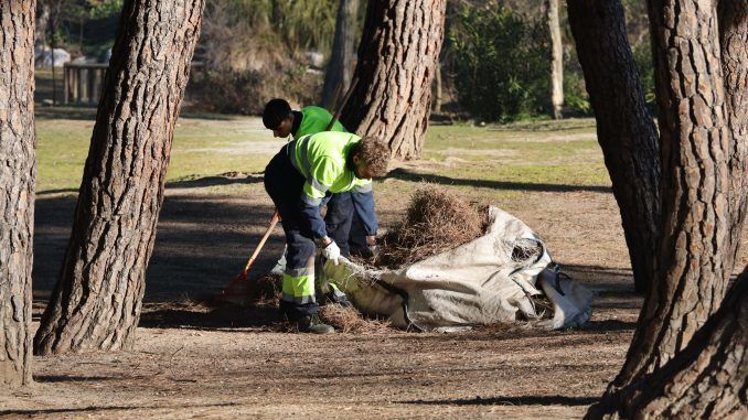 Menores de 25 años se benefician del Plan Especial de Empleo de Servicio de Jardinería del Ayuntamiento de Móstoles.