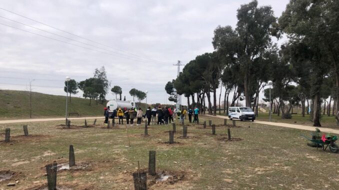 Colaboración para plantar árboles en el parque Los Frailes