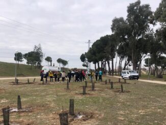 Colaboración para plantar árboles en el parque Los Frailes