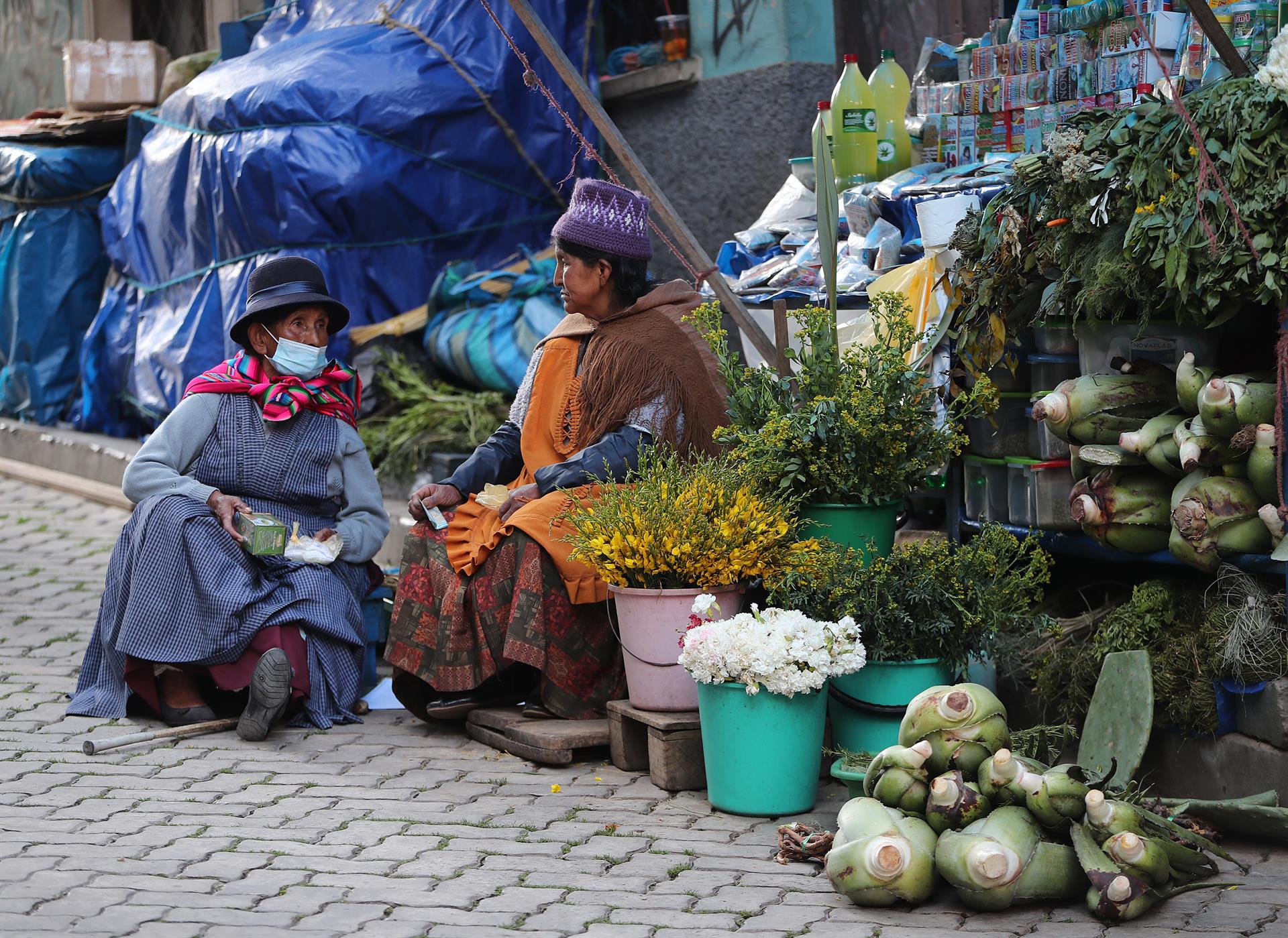 Mujeres conocidas como "chifleras" exhiben una variedad de plantas, flores y ungüentos naturales para aliviar todo tipo de dolores, el 14 de febrero de 2022, en La Paz (Bolivia). EFE/Martin Alipaz
