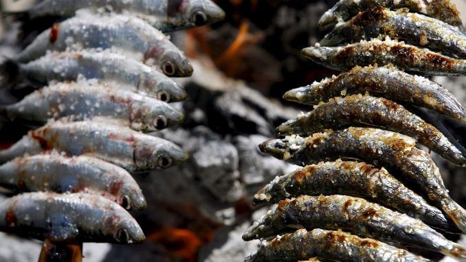 Imagen de un espeto de sardinas, técnica de asar este pescado a la leña ensartado en cañas. EFE/Archivo
