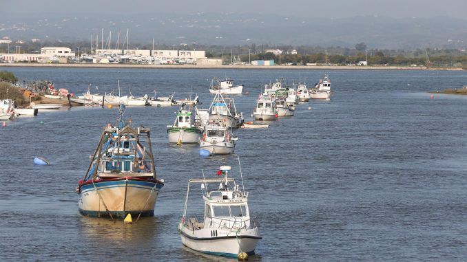 Barcas en la zona de Isla Canela, en Ayamonte (Huelva).EFE/Archivo
