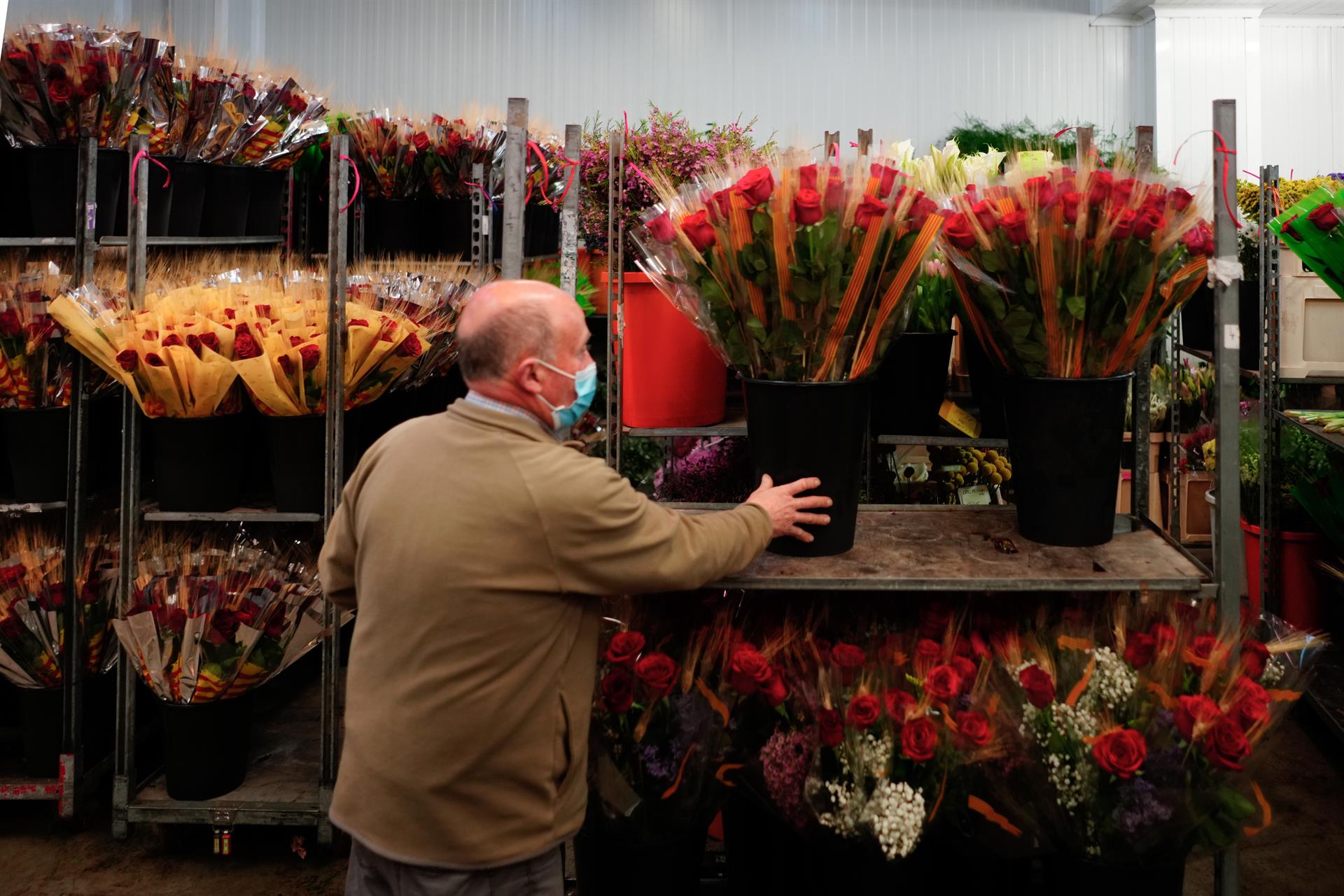 Un florista trabaja este jueves en Mercabarna-Flor donde trabajan a buen ritmo para la "diada" de Sant Jordi de este próximo sábado. EFE/Enric Fontcuberta
