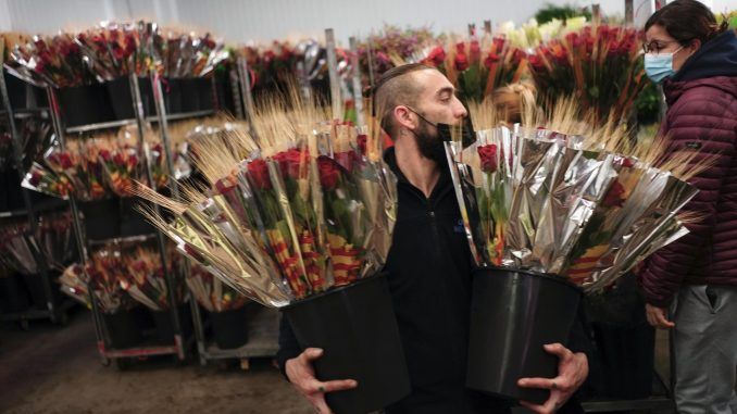 Un florista transporta varias decenas de rosas este jueves en Mercabarna-Flor donde trabajan a buen ritmo para la "diada" de Sant Jordi de este próximo sábado. EFE/Enric Fontcuberta
