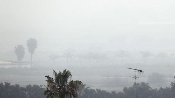 Vista general de la huerta valenciana bañada ayer por la lluvia. EFE/Kai Forsterling
