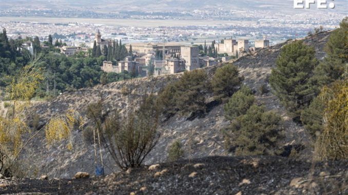 GRAFAND9663. GRANADA, 30/05/2022.- Parte del terreno quemado en el incendio forestal declarado ayer domingo por la tarde en el Cerro de San Miguel en Granada, en el entorno del Sacromonte que ha quedado estabilizado a las 8:00 horas de este lunes, según el Infoca, que trabaja para darlo por controlado y en el que se cifra en unas 100 hectáreas la superficie de terreno afectada en la que se trabajará para su reforestación una vez que sea extinguido. EFE/Miguel Ángel Molina
