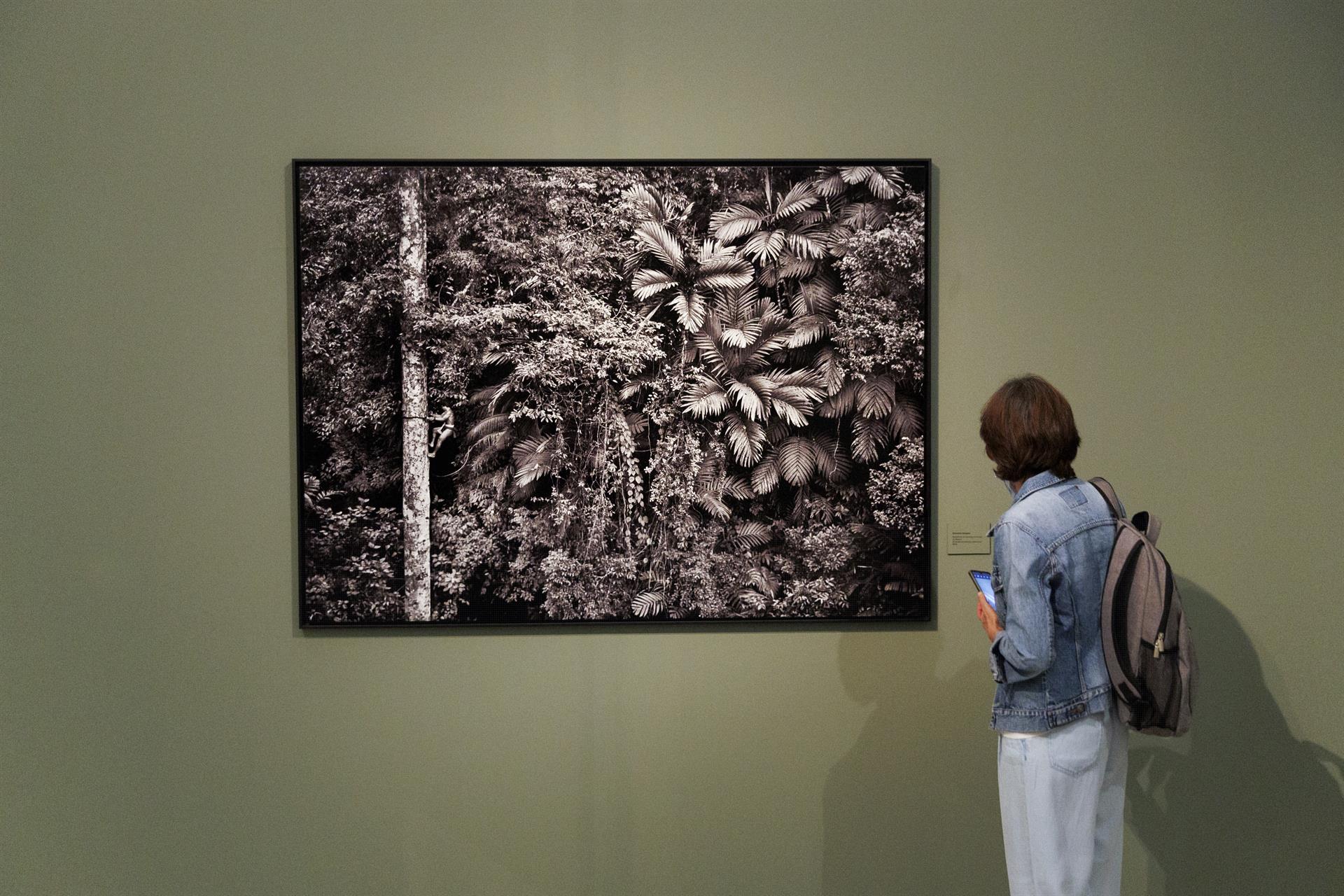 Una mujer visita la exposición "Sebastião Salgado y las Colecciones Reales. Encuentros en torno a la fotografía de paisaje", organizada por Patrimonio Nacional y PHotoEspaña, durante su presentación este viernes en Madrid. EFE/Sergio Pérez
