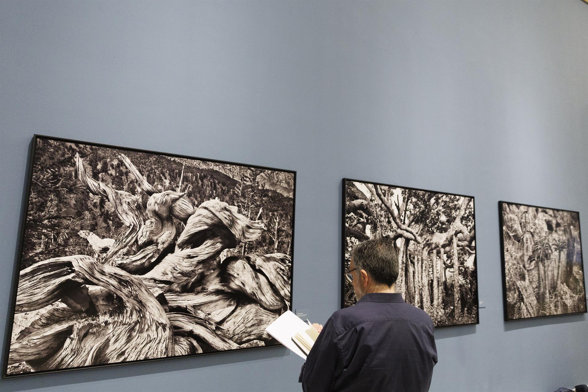 Un hombre visita la exposición "Sebastião Salgado y las Colecciones Reales. Encuentros en torno a la fotografía de paisaje", organizada por Patrimonio Nacional y PHotoEspaña, durante su presentación este viernes en Madrid. EFE/Sergio Pérez
