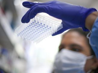 Una investigadora observa muestras en un laboratorio. EFE/Archivo