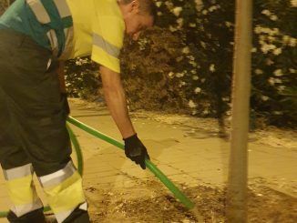 El Ayuntamiento de Sevilla ha comenzado la campaña de refuerzo de las rutinas de riego del arbolado de la capital.