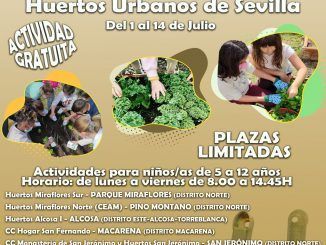 El Ayuntamiento de Sevilla ha puesto en marcha un año más el Campamento de Verano de Huertos Urbanos.