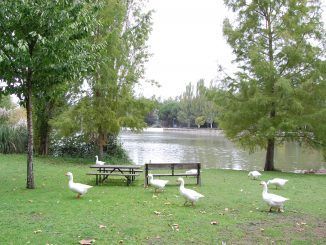 El Gobierno de Móstoles reabre el parque El Soto.