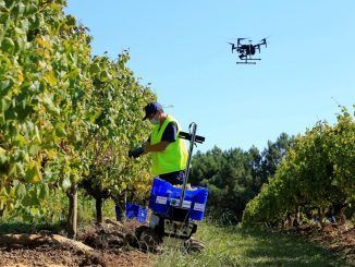 La tecnología se prepara para su aterrizaje en el campo con drones para la cosecha y la vendimia