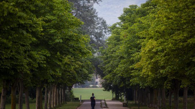 Una mujer corre por el jardín Botánico de Olarizu de Vitoria este martes. EFE/David Aguilar