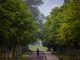 Una mujer corre por el jardín Botánico de Olarizu de Vitoria este martes. EFE/David Aguilar